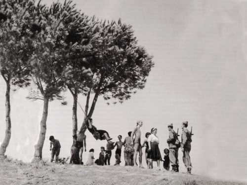 foto 41.jpg (20491 bytes)